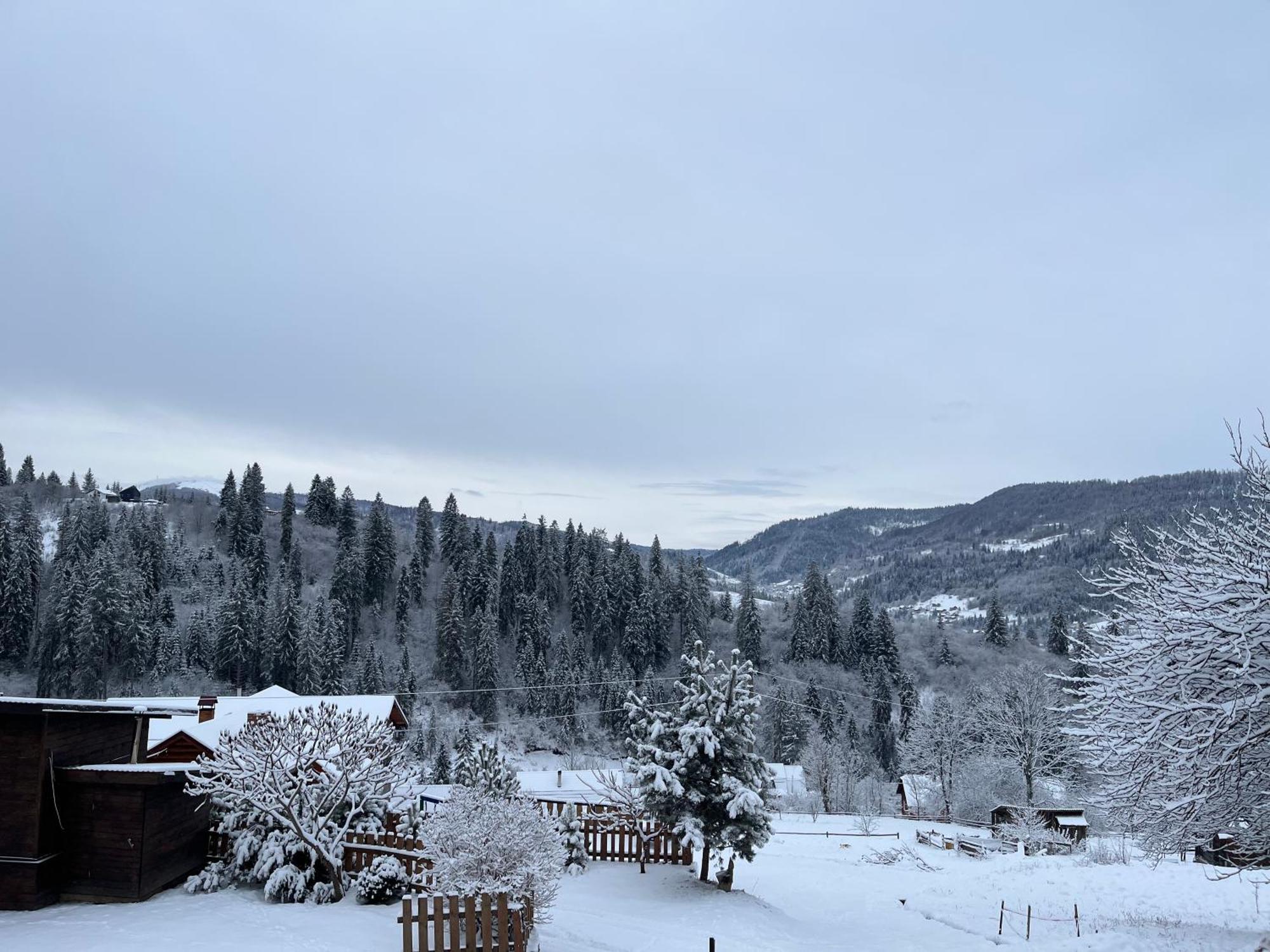 Vila Hirska Vatra Slavske Exteriér fotografie